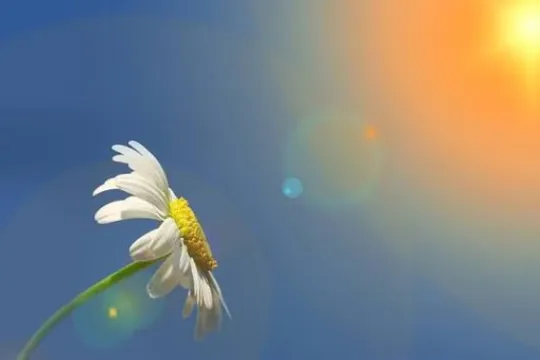 Sabah 39 dərəcə isti olacaq 