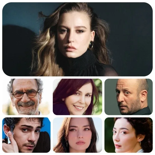 Serenayın yeni layihəsi