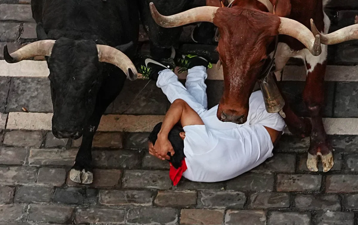 Bu festivalda ya əylənə, ya da ölə bilərsən... - Fotolar