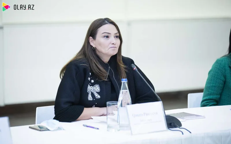 “Qadına şiddətə son” adlı dəyirmi masa - Fotolar