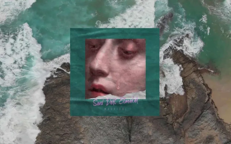 “Spotify”da Röyalar yarışdı