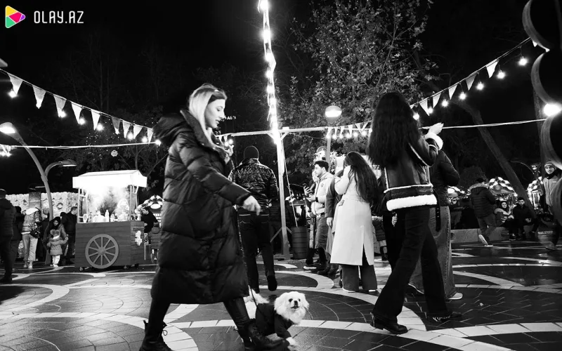 Bu axşam “Soyuq əllər, isti ürək”də - FOTOLAR