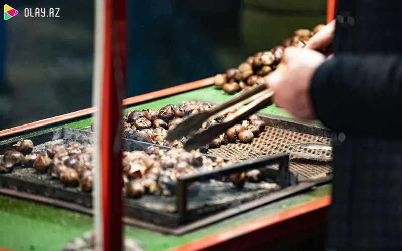 Bu axşam “Soyuq əllər, isti ürək”də - FOTOLAR