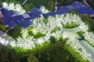 Məşhurların evi Milad üçün işıqlandırıldı