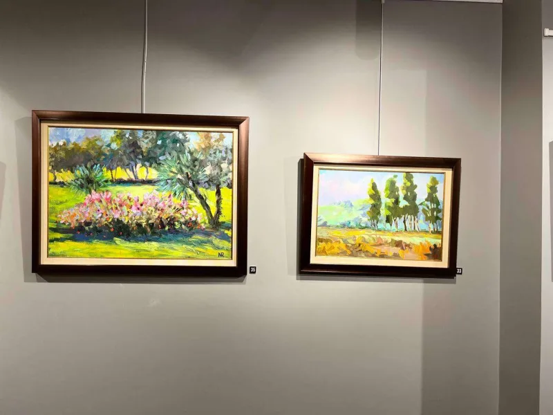 Türkiyədə azərbaycanlı rəssamın sərgisi keçirildi