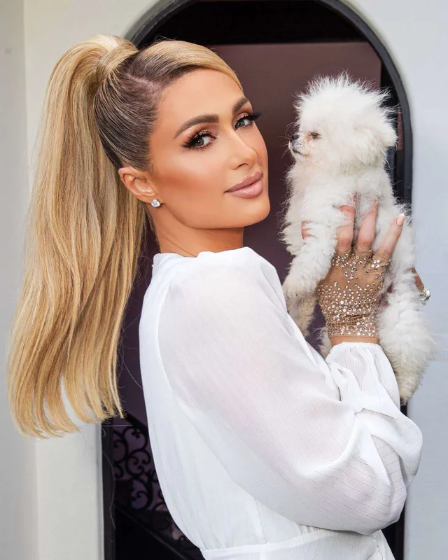 Virtual parti təşkil etdi, 700 min qazandı