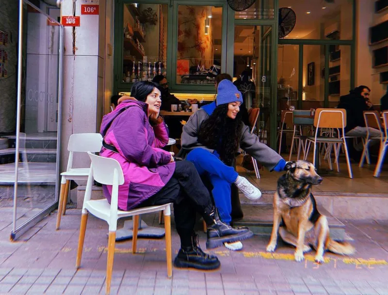 Nura, Dilarə və Hiss İstanbula niyə gedib?