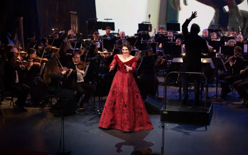 Leyla Əliyeva azərbaycanlı musiqiçilərlə görüşdü