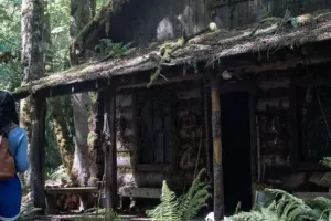 Qorxulu filmlərdən daha ürküdücüdür...