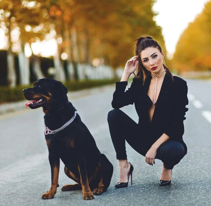 Aysel qəzaya düşüb