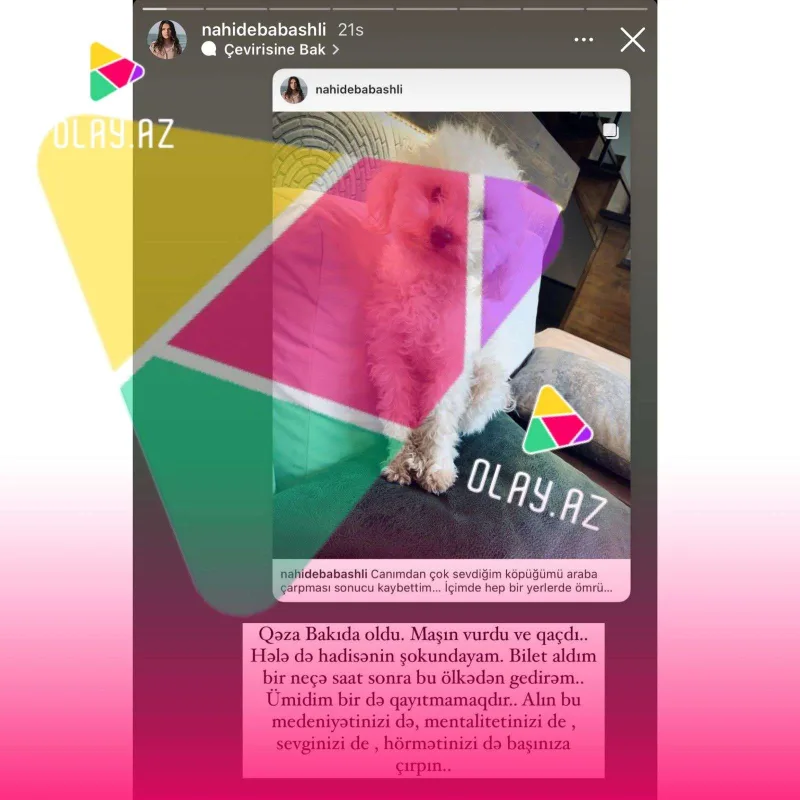 “Azərbaycandan gedirəm, mentalitetinizi başınıza çırpın!”