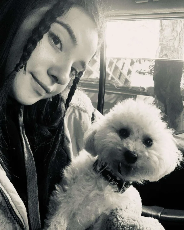 “Azərbaycandan gedirəm, mentalitetinizi başınıza çırpın!”