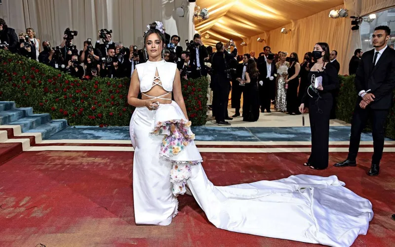 MET Gala-da 33,7 milyon toplandı