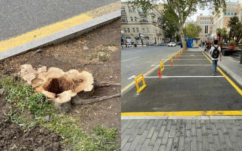 “Əla kinolar çəkdiz, qaldı parklanma yeri”