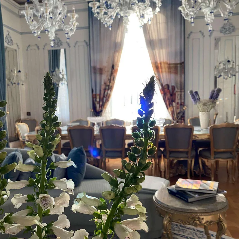 Anna ABŞ-dakı dəbdəbəli evini itirdi