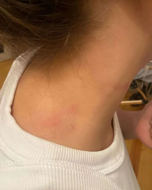 Ərinin beş illik sevgilisi blogeri döydü