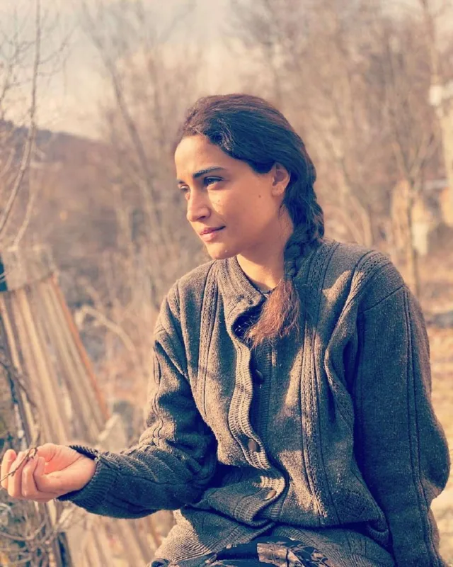 Qarabağdan bəhs edən serialda onlar çəkiləcək!