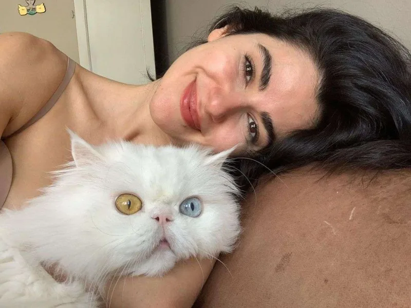 Nəsrinin 16 yaşlı pişiyi öldü