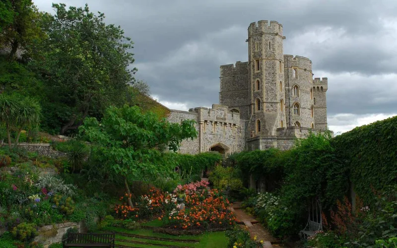 Kral 40 minə bağban axtarır