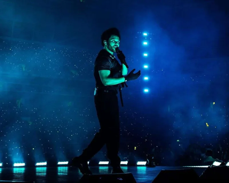 Bu il milyonlar qazanan müğənnilər