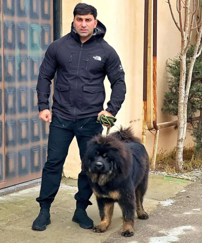 “İnstaqramımda bir post 3-5 min manatdır”