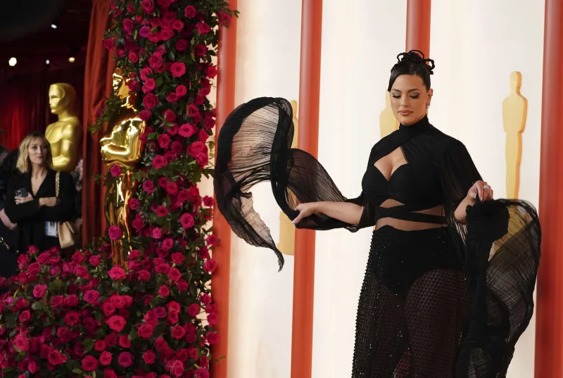 Məşhurların “Oskar” görünüşü...