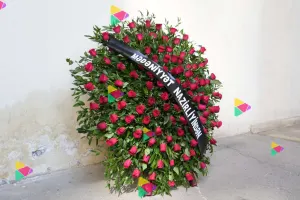 Nazirlik əklil göndərdi