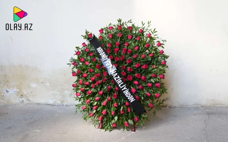 Nazirlik əklil göndərdi