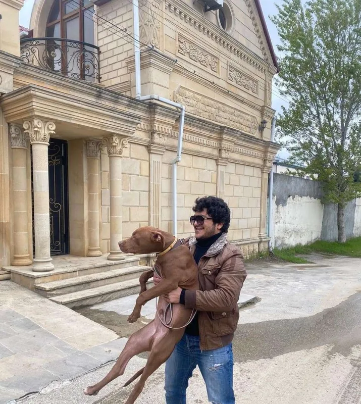 Daha bir tiktoker həbs edildi