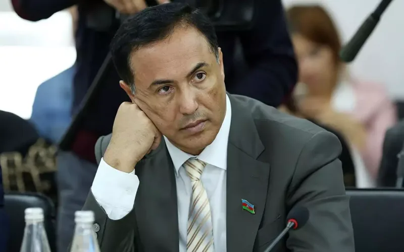 Nura Suri deputat olmaq istəyir