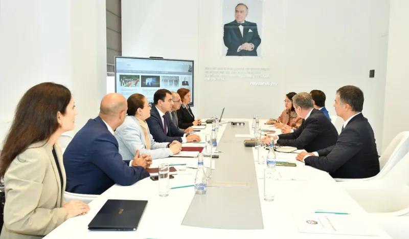 Mədəniyyət naziri “TikTok”un nümayəndələri ilə görüşdü