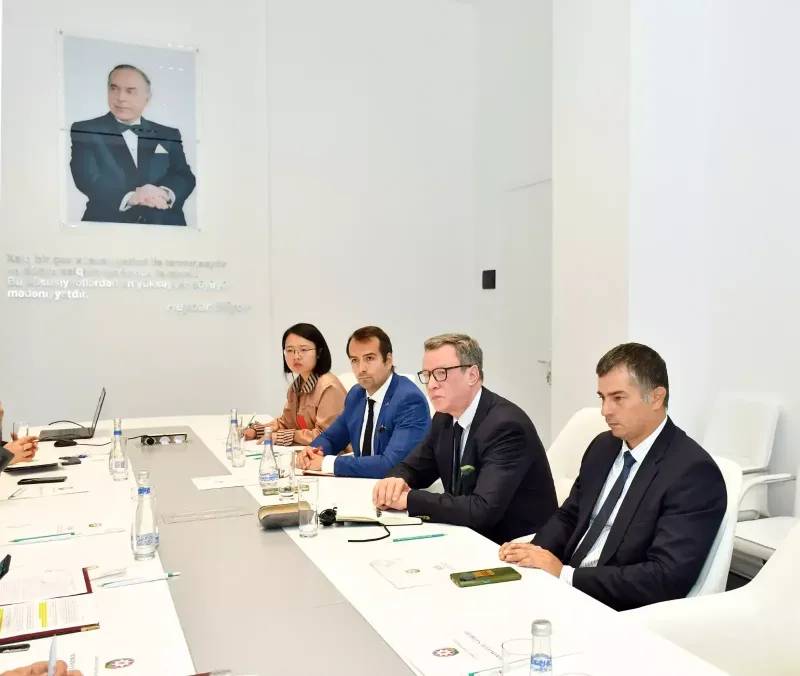 Mədəniyyət naziri “TikTok”un nümayəndələri ilə görüşdü