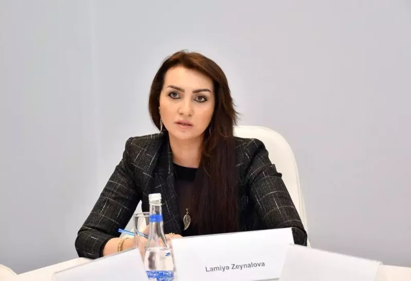 Nazirlik yanında Ekspert şurası yaradıldı