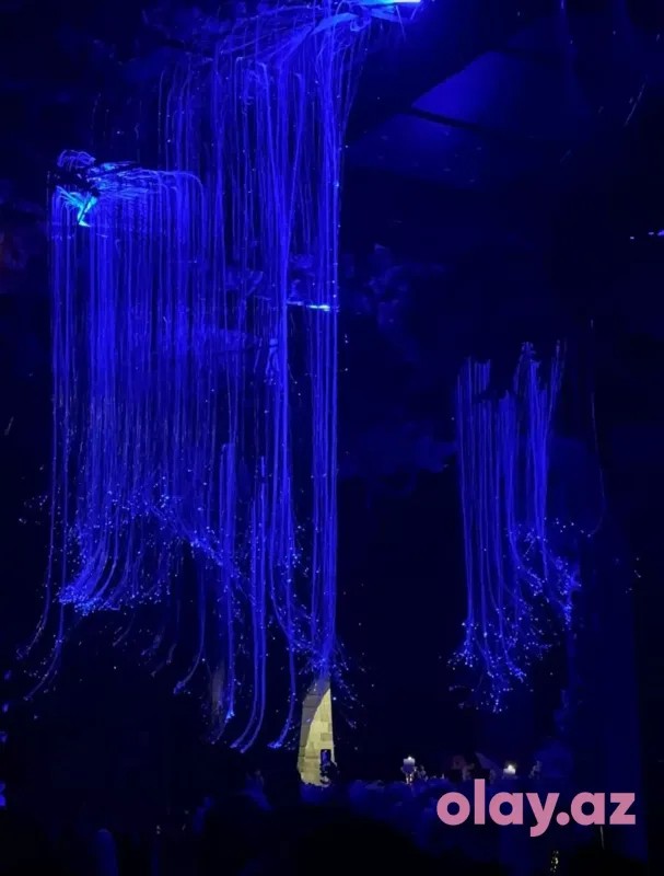 Bakıda dəbdəbəli toyda məşhur ulduzlar - Video