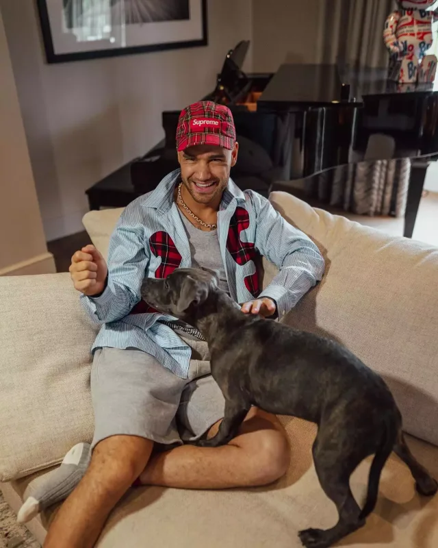 Liam Peyn faciəvi şəkildə öldü!