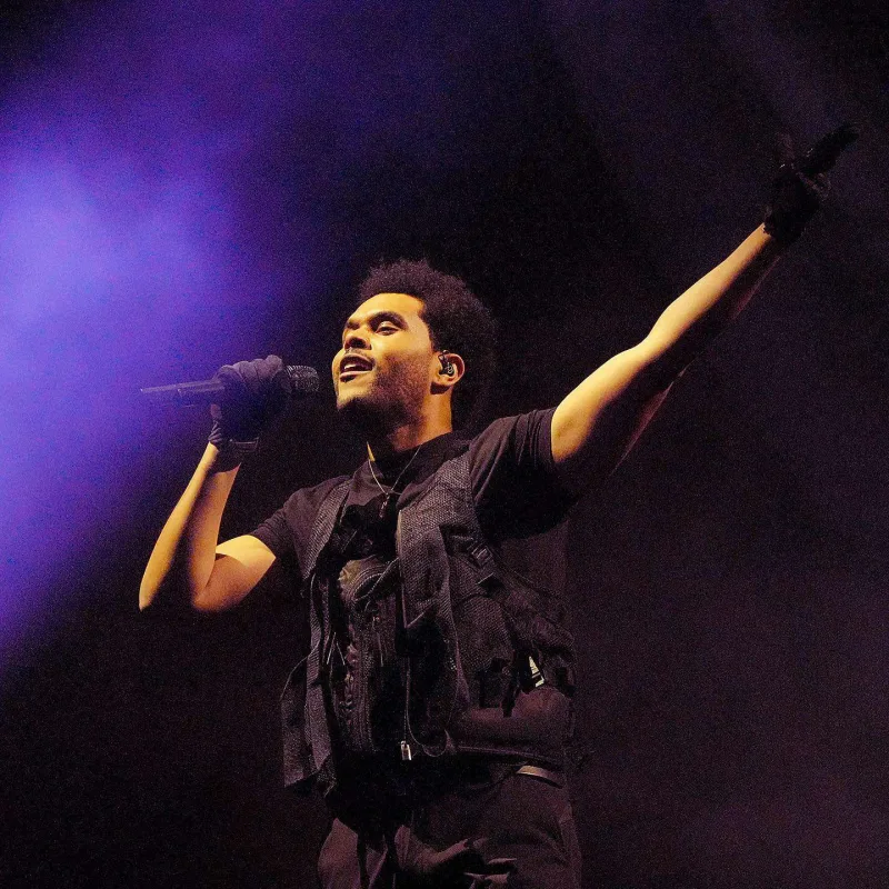 Çılğın Koçella festivalı...