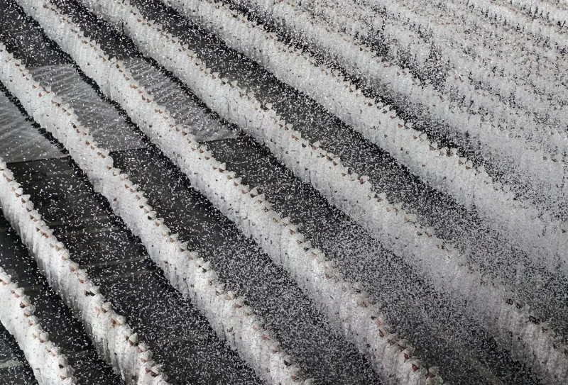 1952 nəfər eyni geyimdə - Görünməmiş moda şousu