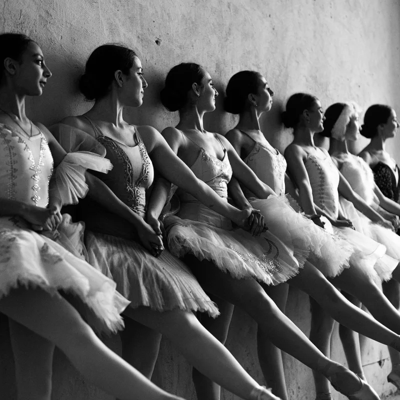 Vinetka fotoları ilə diqqət çəkdilər