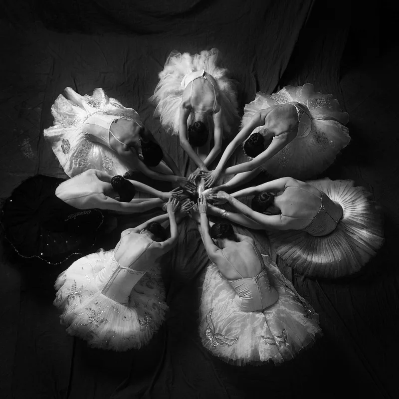 Vinetka fotoları ilə diqqət çəkdilər