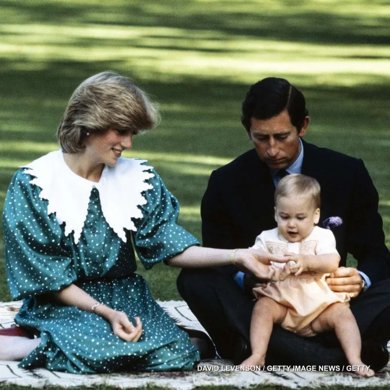 Kral “The Crown” serialından narahatdır