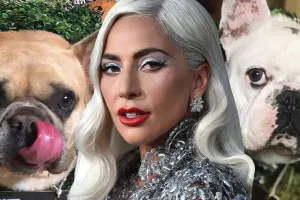 Qaqanın itlərini öldürən şəxs təsadüfən həbsxanadan çıxdı