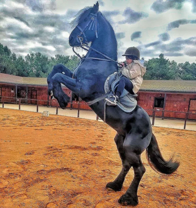 “Mənə güc verən, ayaqda tutan bir sənsən”