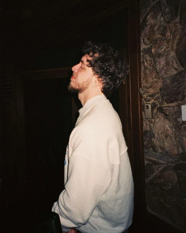 Mühafizəçiləri müğənnini qollarında daşıdı - VİDEO