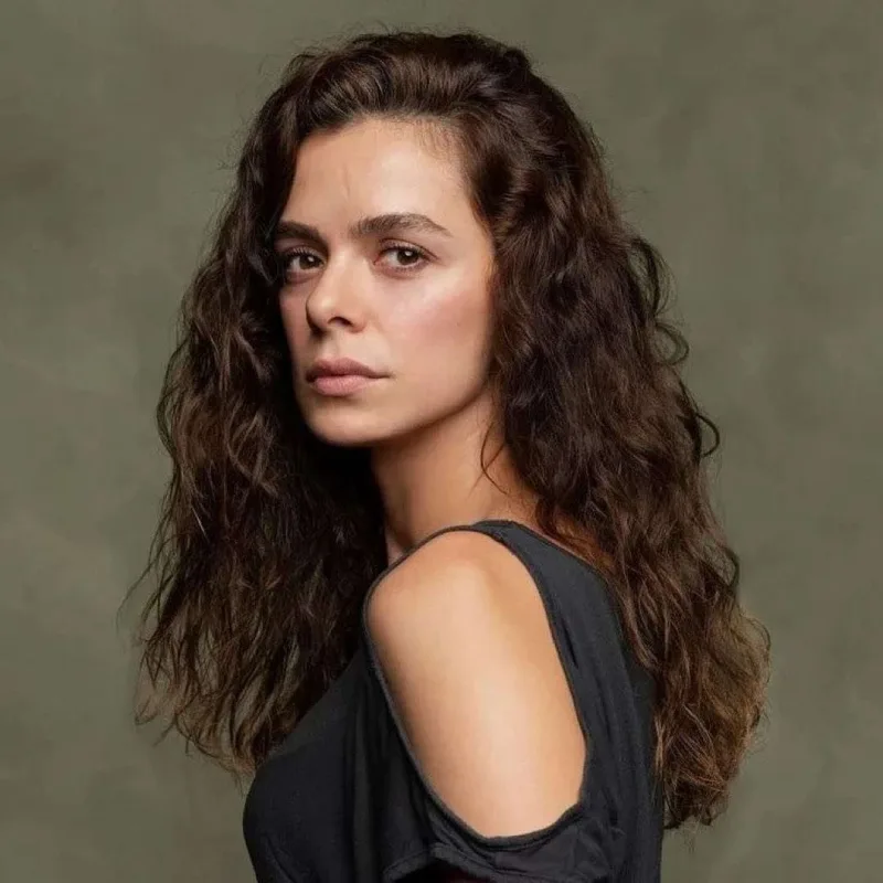 Rol aldıqları serial təxirə düşdü