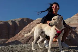 “Heyvanları mağazalardan almayın”