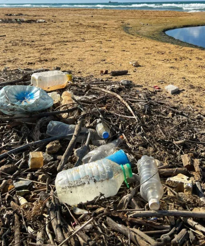 Tarkandan sosial mesaj...