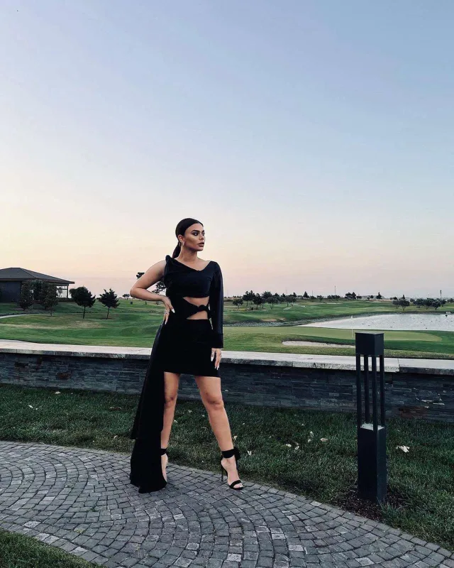 Aysuna qarşı dələduzduq edildi