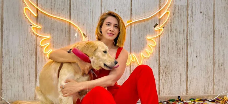 Bakıda itlər üçün kafe açıldı