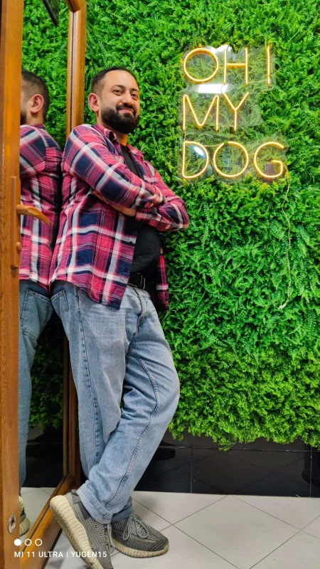 Bakıda itlər üçün kafe açıldı