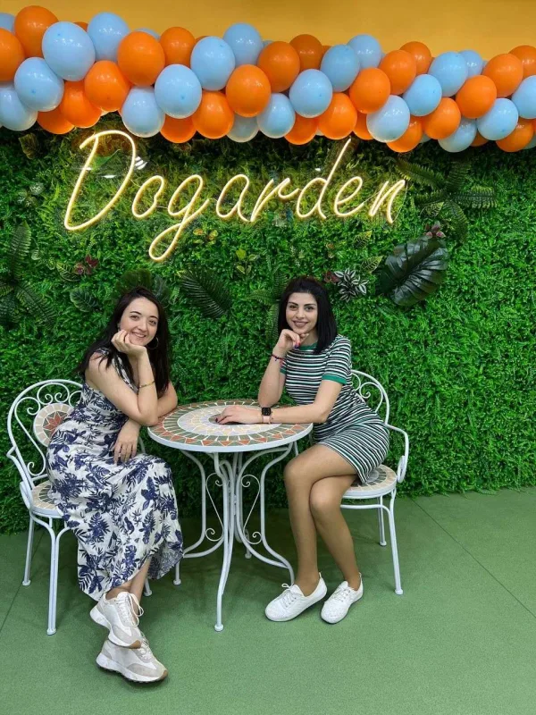 Bakıda itlər üçün kafe açıldı